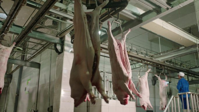 猪肉加工厂屠宰场现代化流水线
