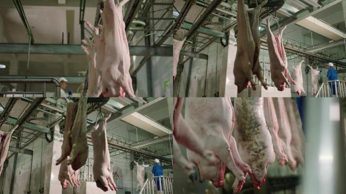 猪肉加工厂屠宰场现代化流水线