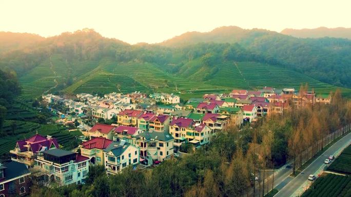 茶田民宿别墅行车升