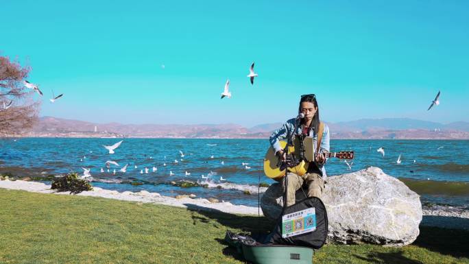 海边海鸥歌手弹吉他唱歌民谣