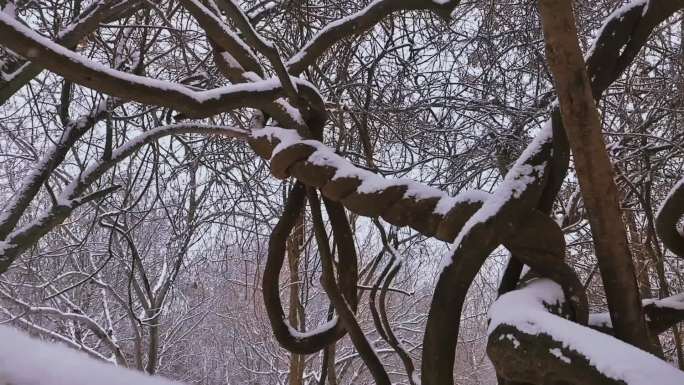 冬天雪景素材