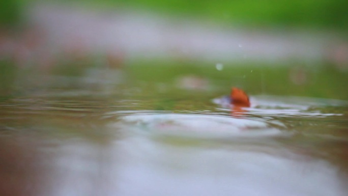 下雨天雨滴雨水飘落实拍素材