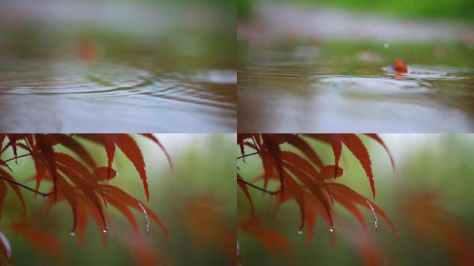 下雨天雨滴雨水飘落实拍素材