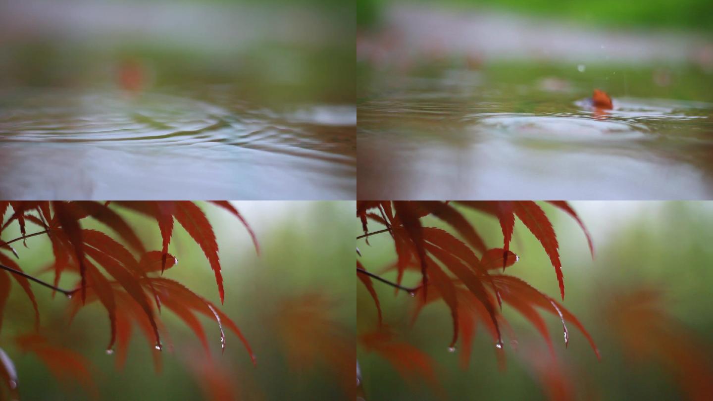 下雨天雨滴雨水飘落实拍素材