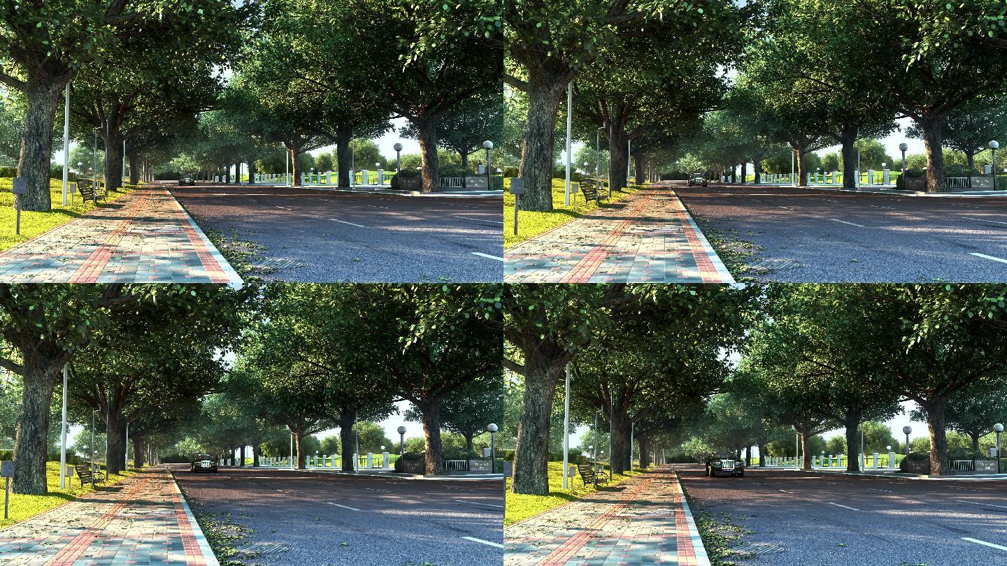 【林荫大道|青浦新增一条林荫大道，一起来刷“美树”|呼和浩特|工程建设|诞生|领域】_傻大方