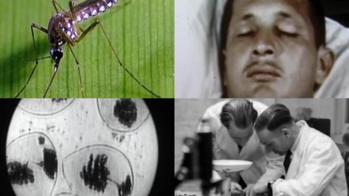 60年代东南亚疟疾流行