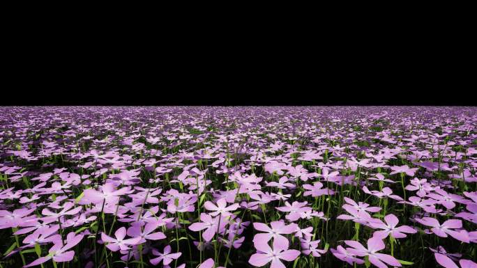 紫花（有Alpha通道）