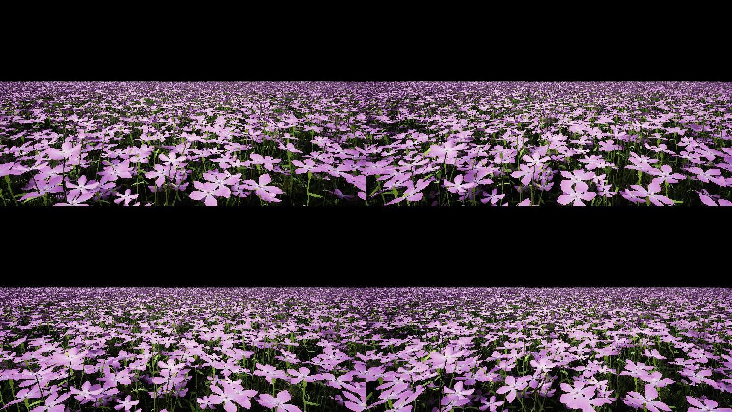 紫花（有Alpha通道）