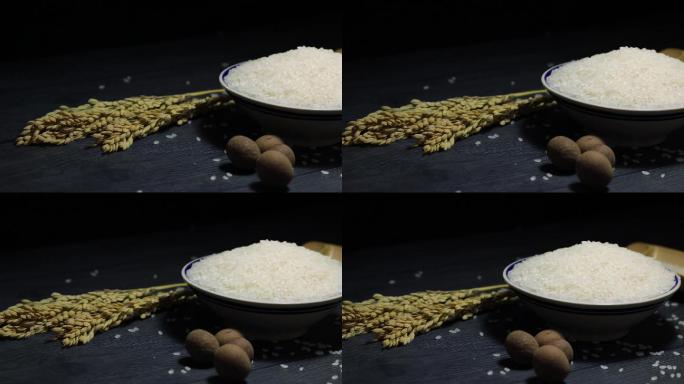 水稻稻穗稻米东北大米五常大米粮食农作物