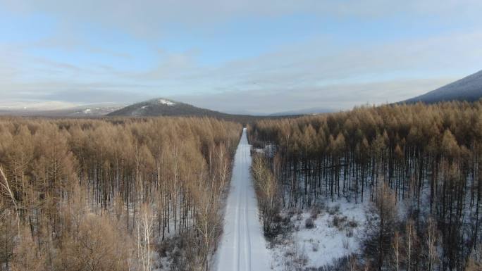 4K冬天内蒙古森林航拍