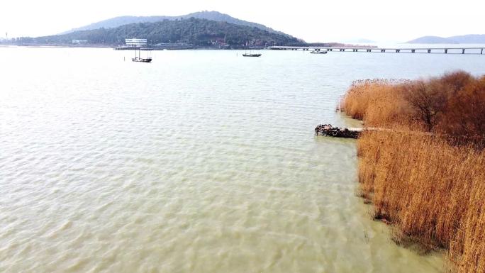 航拍苏州太湖，枯黄的芦苇，孤寂的帆船