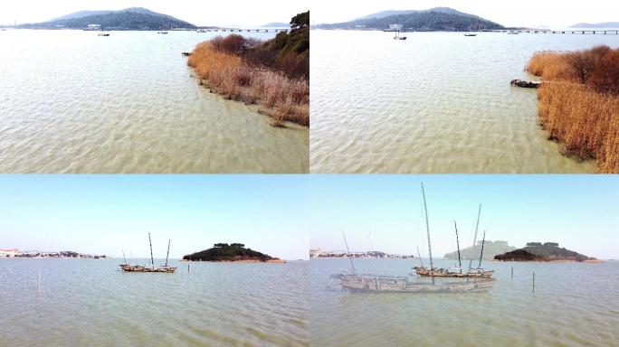 航拍苏州太湖，枯黄的芦苇，孤寂的帆船