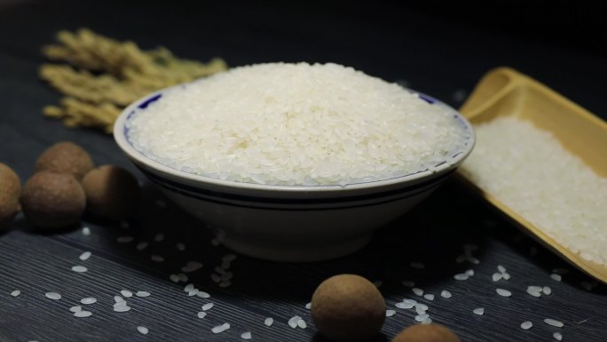 东北大米五常大米水稻粮食农产品