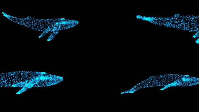 4k藍色粒子鯨魚藍鯨