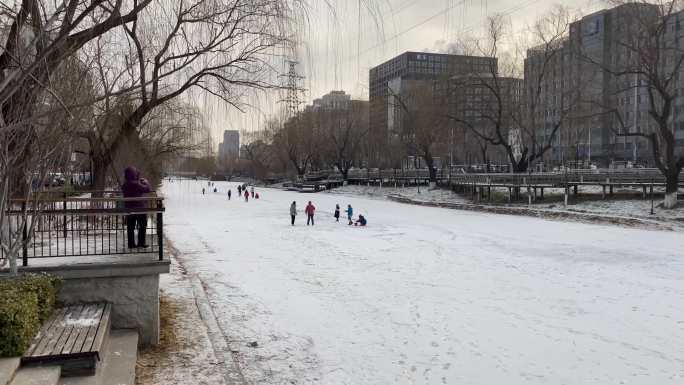 下雪冰上玩雪