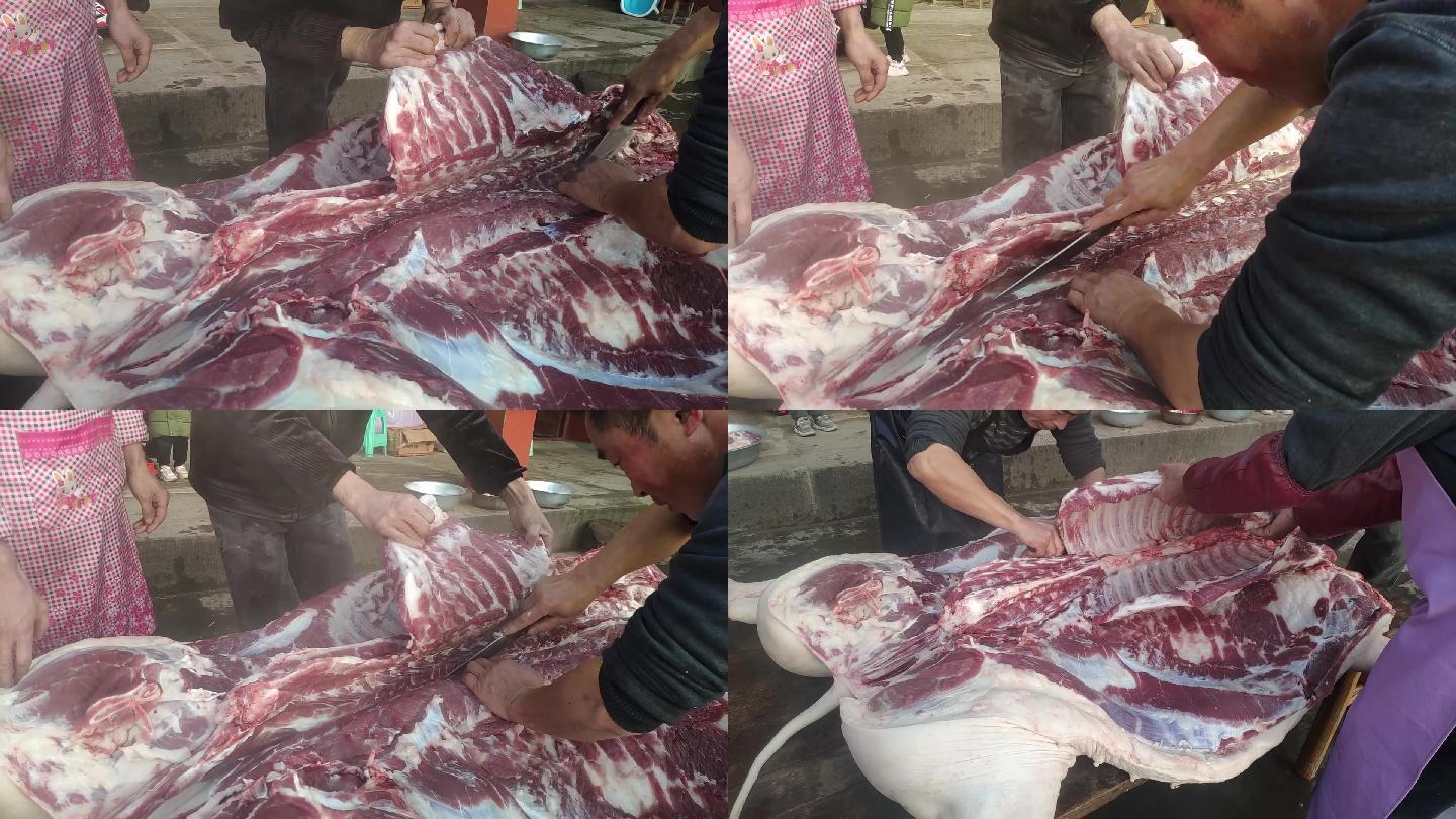 农家猪肉分割农村杀猪过年猪粮食猪宰杀