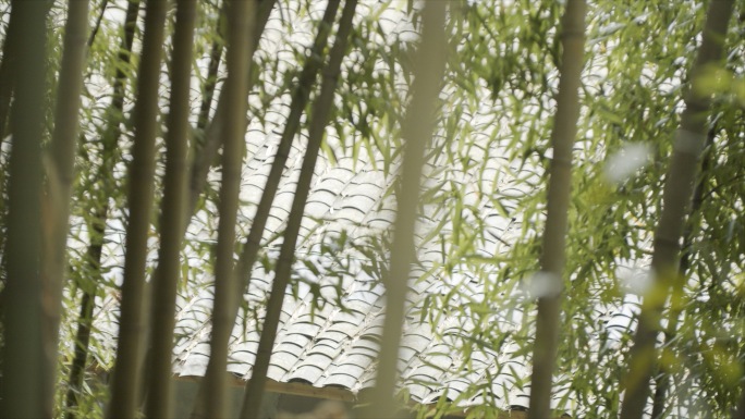 【高清原画】航拍特写竹子竹林竹制品美食