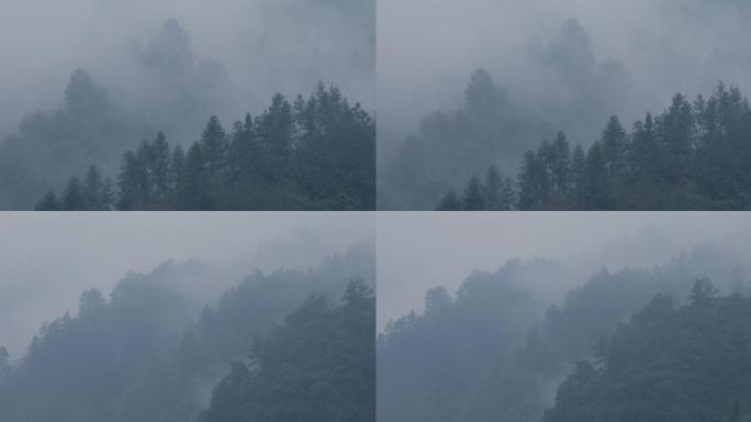 4K烟雨云雾缥缈的大山10