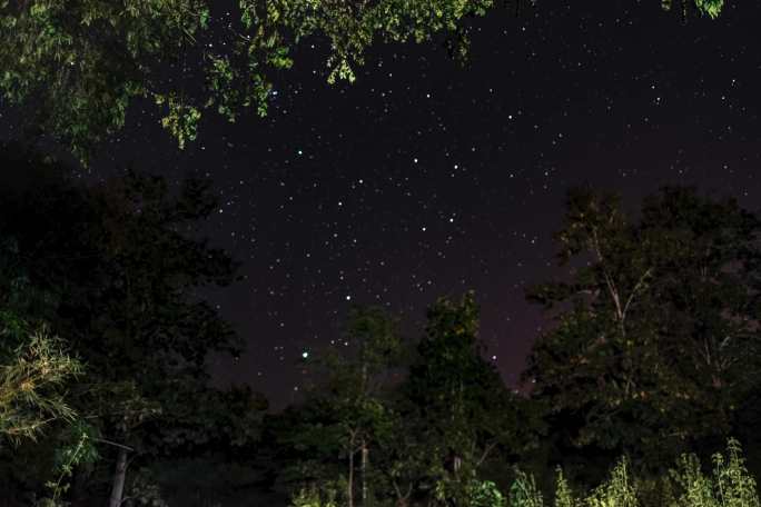 在森林里仰望星空