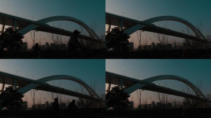 卢浦大桥彩虹桥