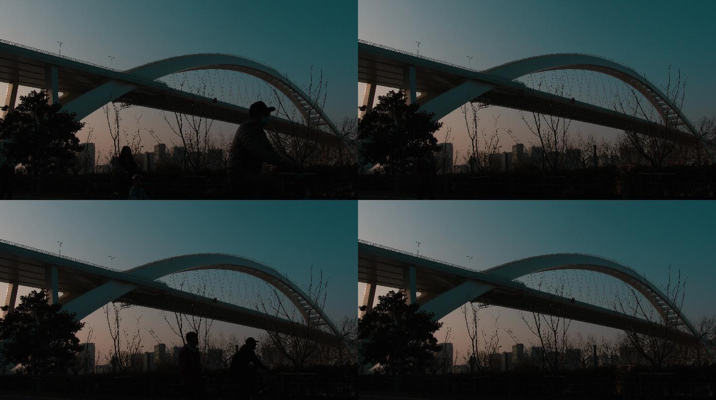 卢浦大桥彩虹桥