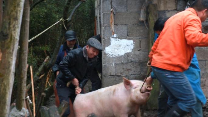 杀年猪，过年，腊肉制作，过年氛围，农村年