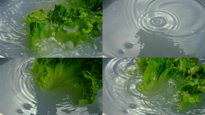 生菜掉入水中螺蛳粉蔬菜生菜青菜