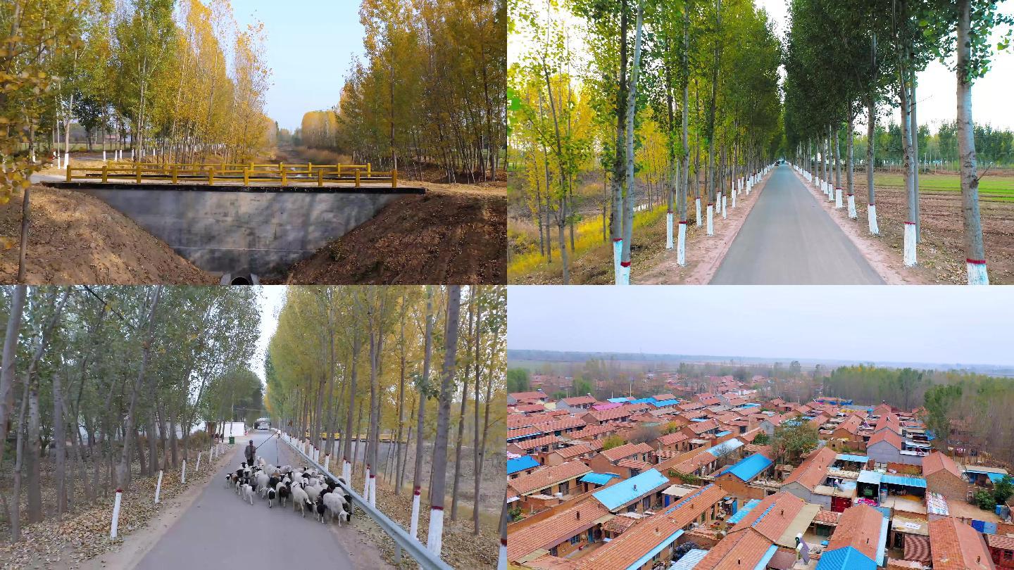 农村生活建筑农村道路放羊场景