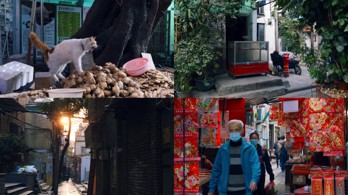 广州老城区人们悠闲生活和猫4k视频素材