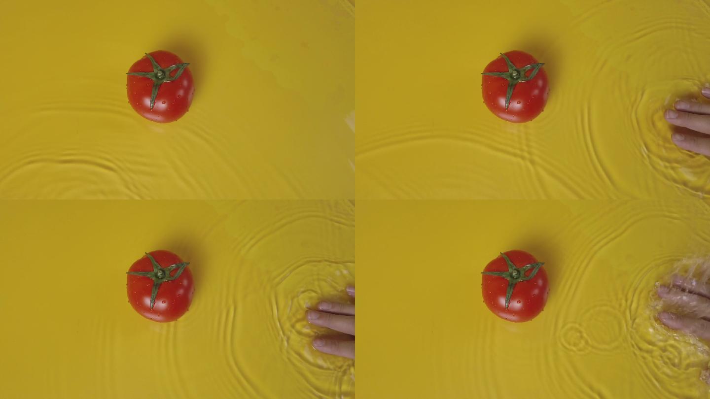 DJI_0025番茄收拍水面波纹慢动作