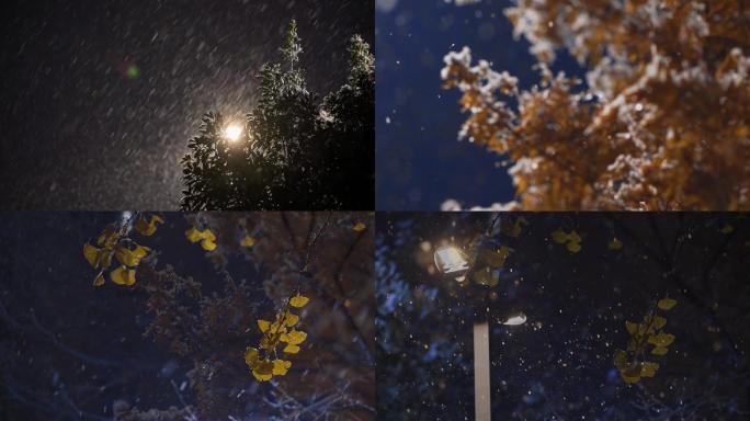 原创雪景夜色短视频