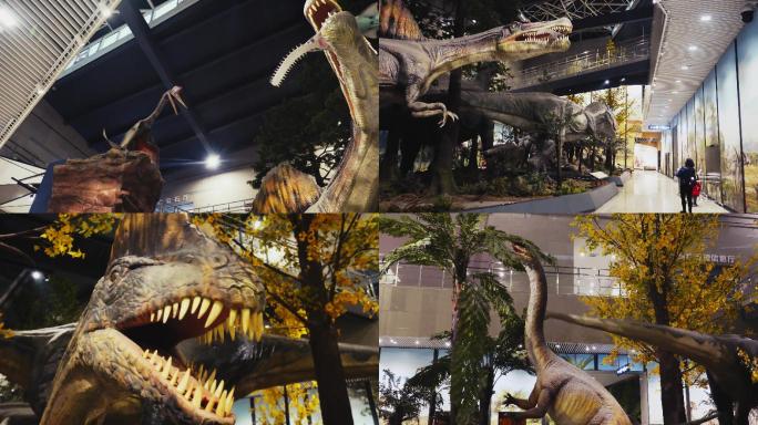 【4K】逼真的恐龙模型展览