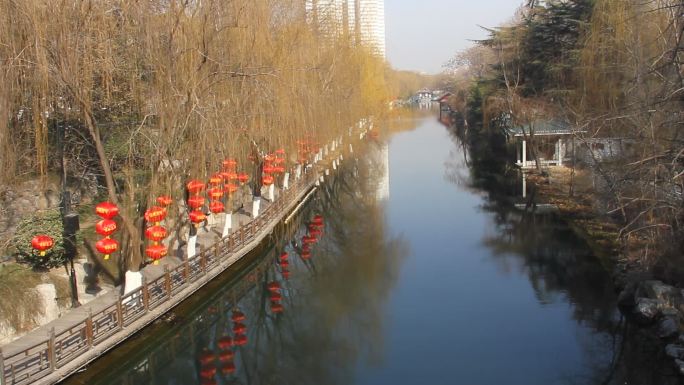 山东济南：护城河畔大红灯笼高高挂迎新年