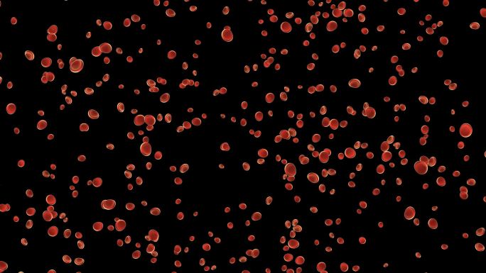 4款人体细胞红细胞ae粒子有alpha通