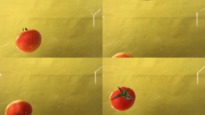 番茄强入水一瞬间黄背景B