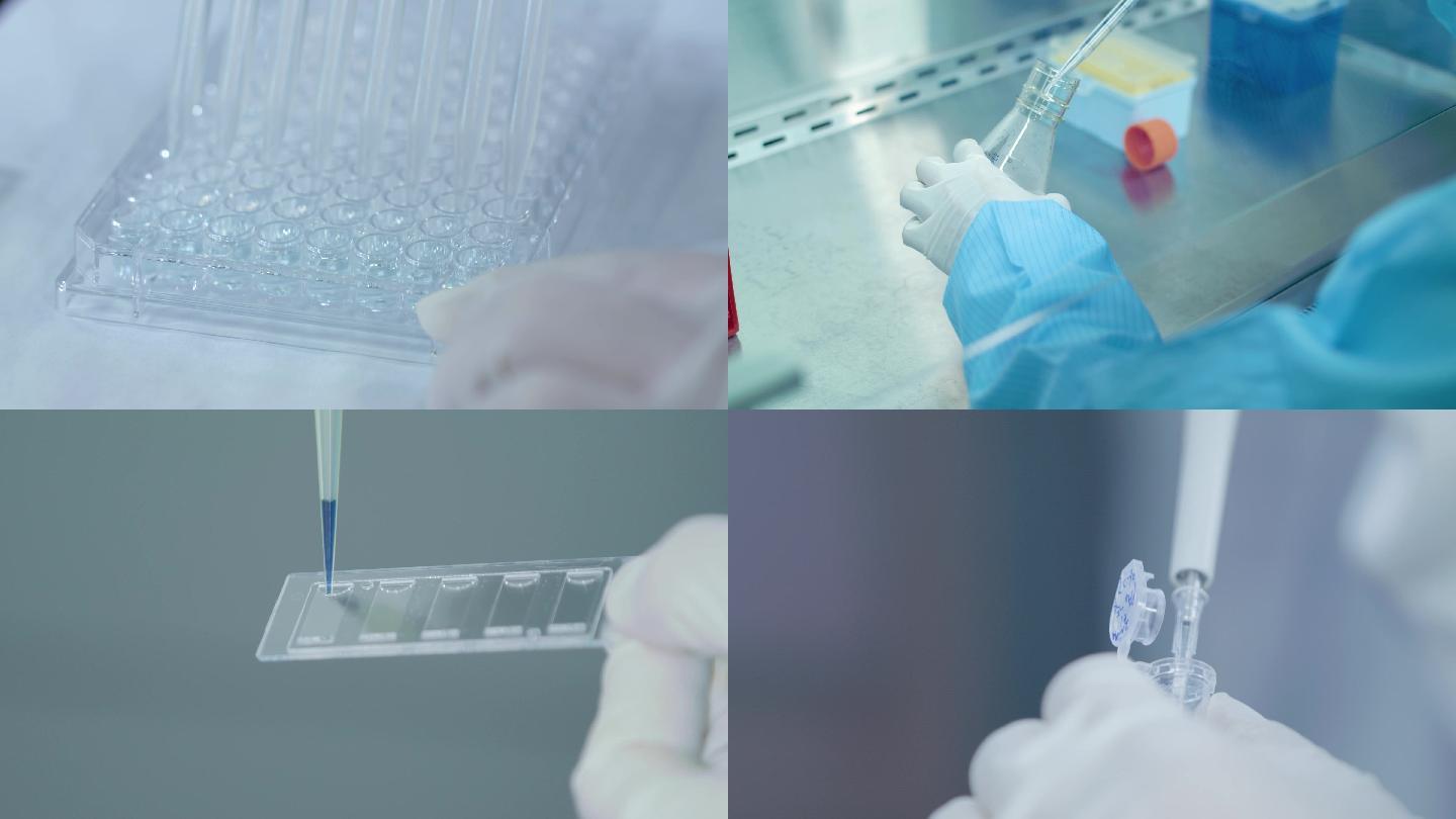 4K实验室，生物实验，医药研发，科研