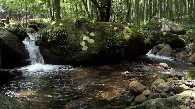 实拍深山小溪流水