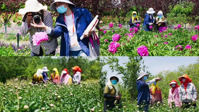 精准扶贫乡村振兴农业专家传授农民种植技术