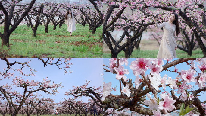 美女桃花林中穿行