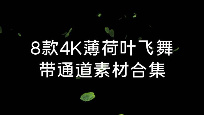 8款4K带通道款薄荷叶素材