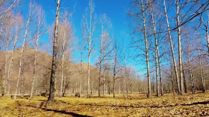 川西甘孜新都桥航拍