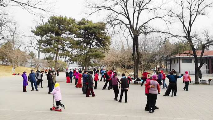 公园冬季晨练游人休闲散步实拍素材