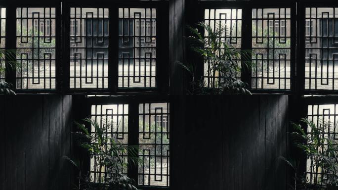 4K古典国风窗棂木墙绿植光影
