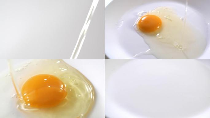 鸡蛋素材鸡蛋升格