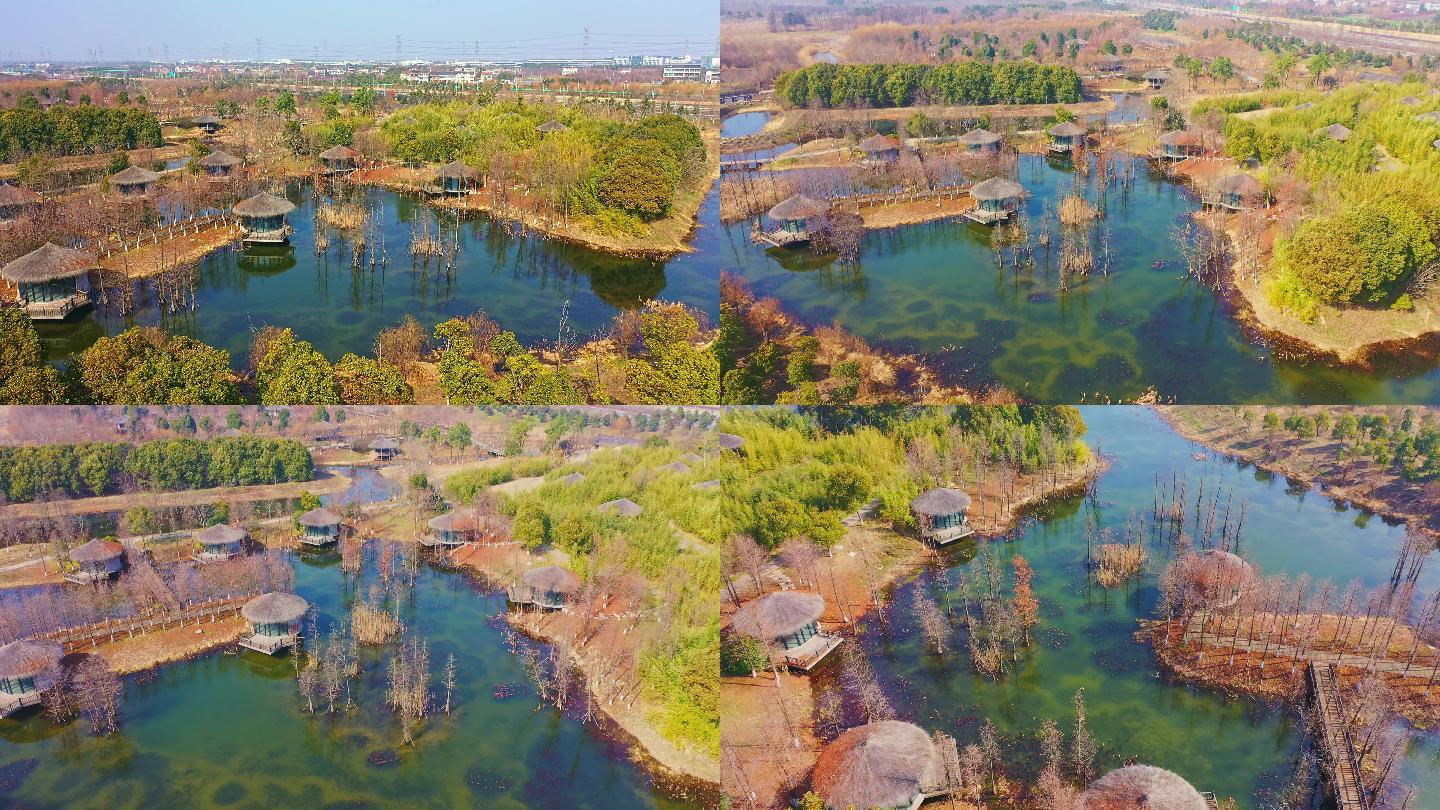 常州新龙生态林4K航拍