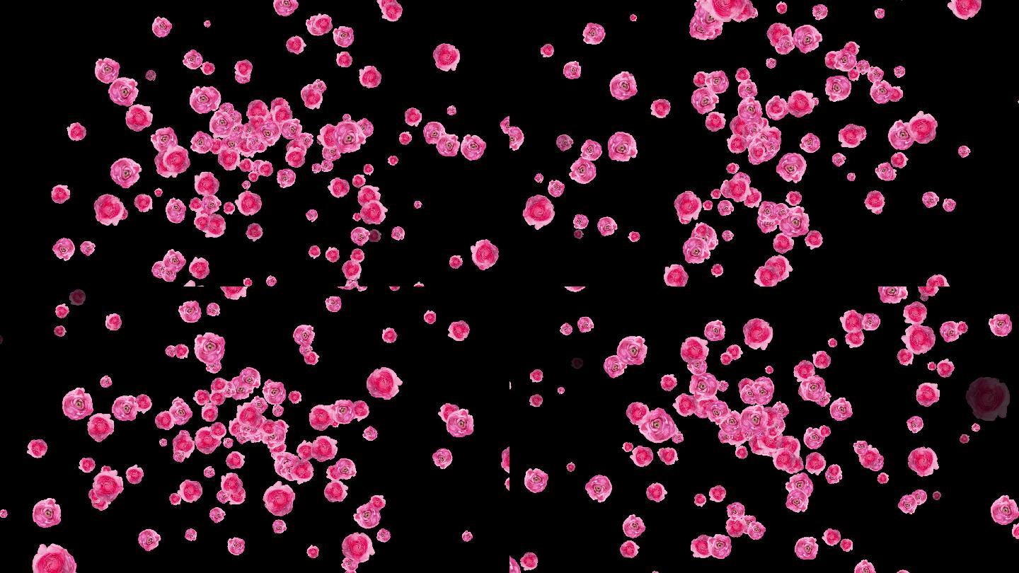 4K粉色花朵冲屏动画2-无缝循环