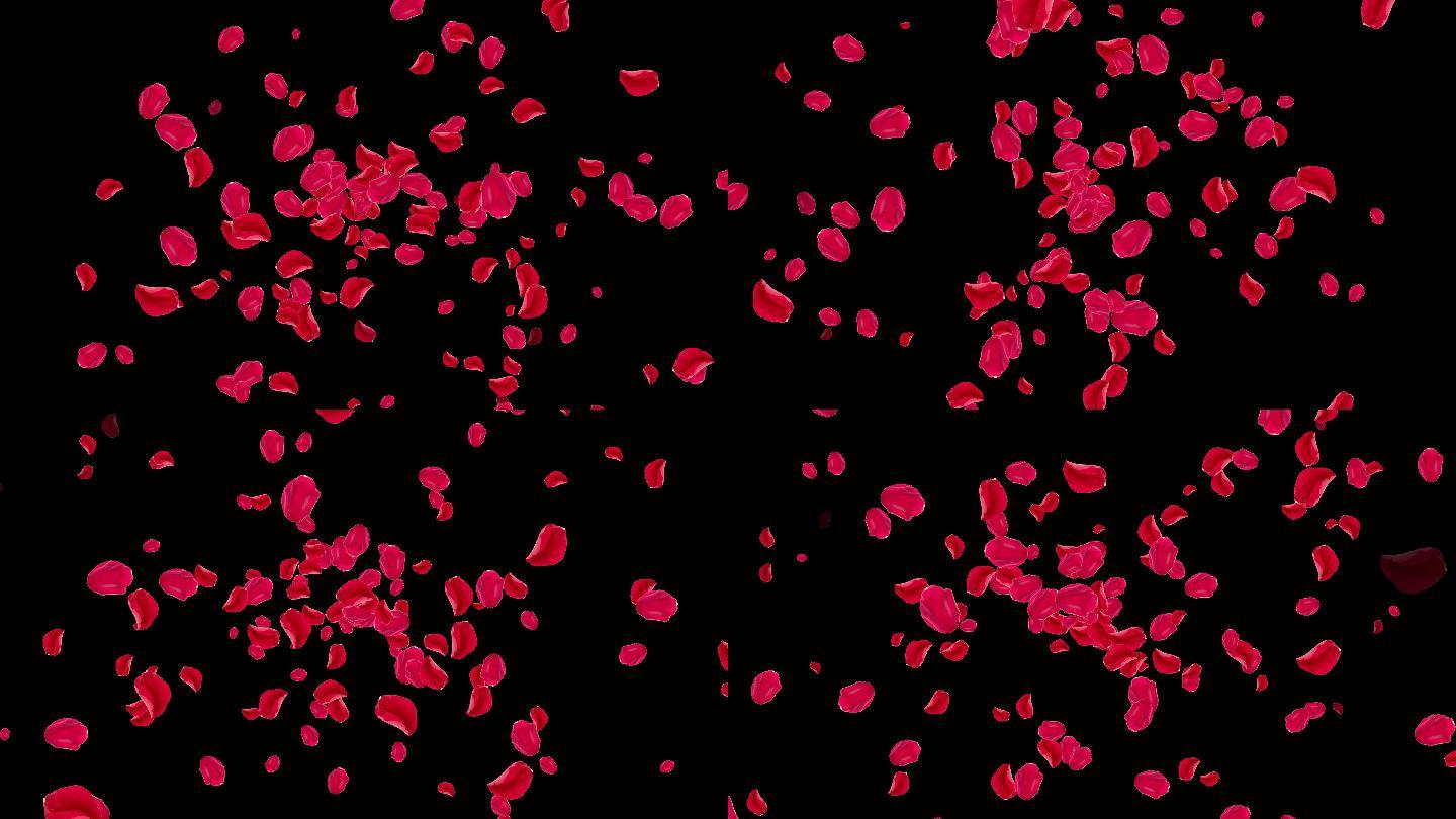 4K红色花瓣冲屏动画2-无缝循环