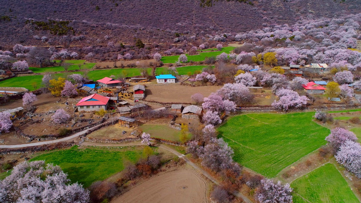 航拍西藏波密桃花沟（才久村）