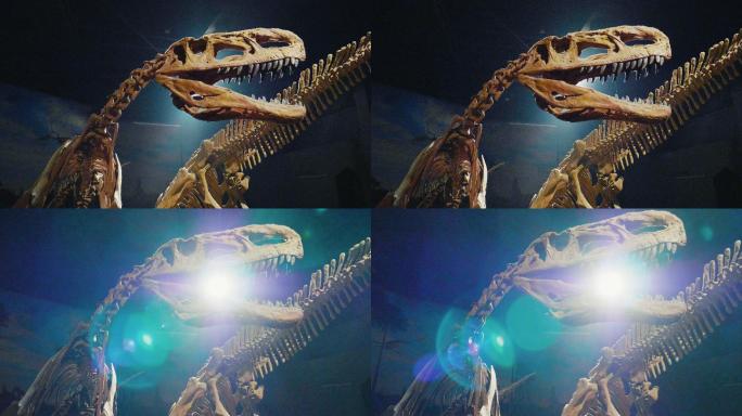 恐龙4