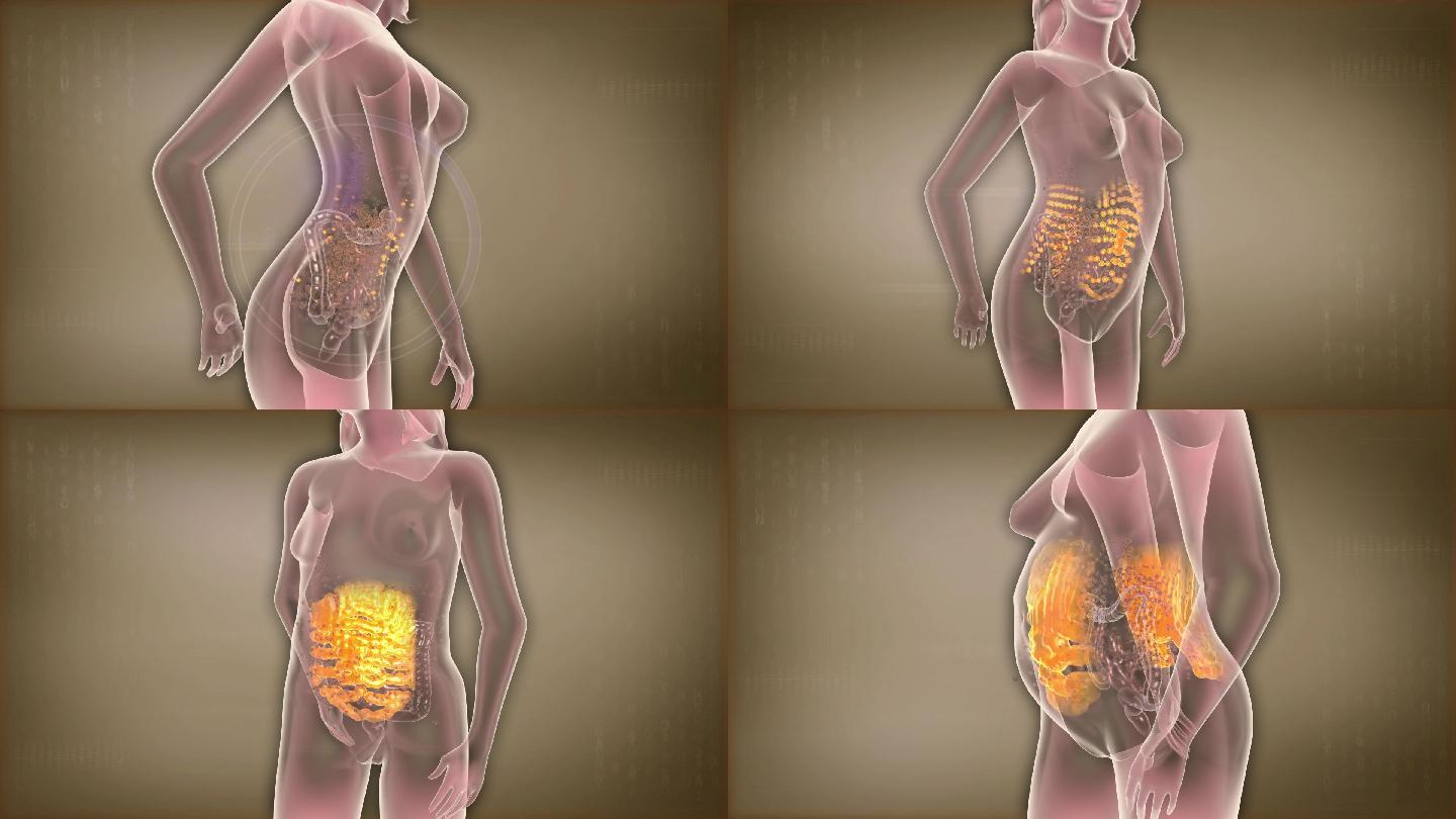 毒素堆积在腰腹刺激皮下脂肪生成形成肚腩